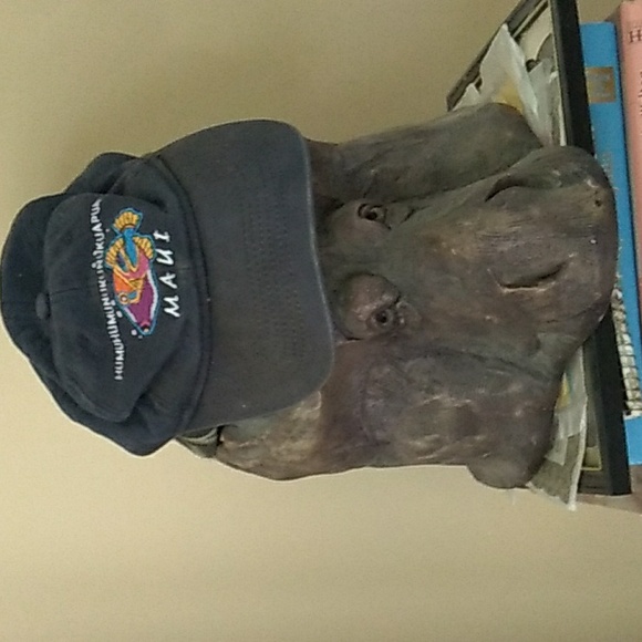 🌋  Vtg Hawaii Humuhumunukunukuapua'a Snapback Blackish/Bluish Cap Hat EVC - Picture 1 of 16